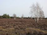 Sallandse Heuvelrug